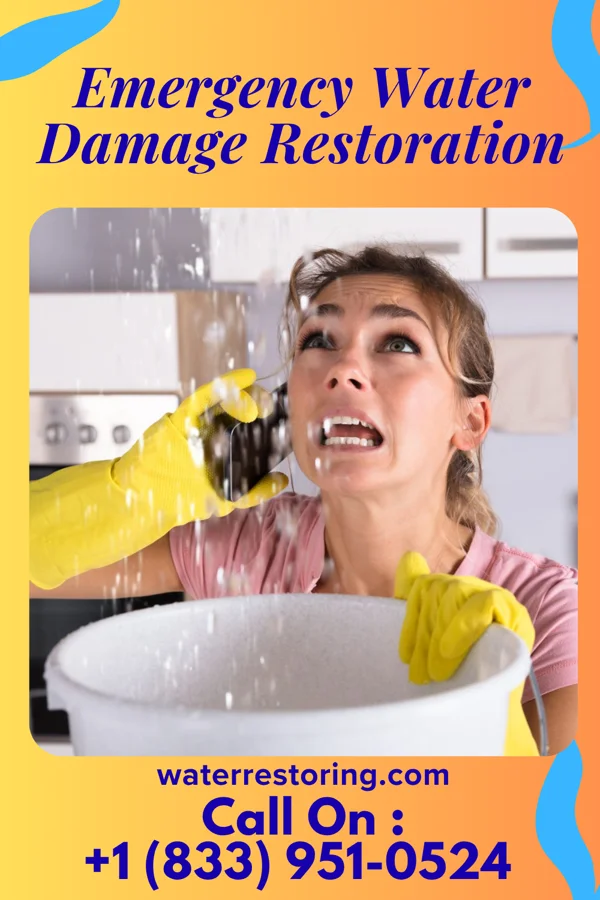 Emergency Water Damage Restoration in Savoy, IL