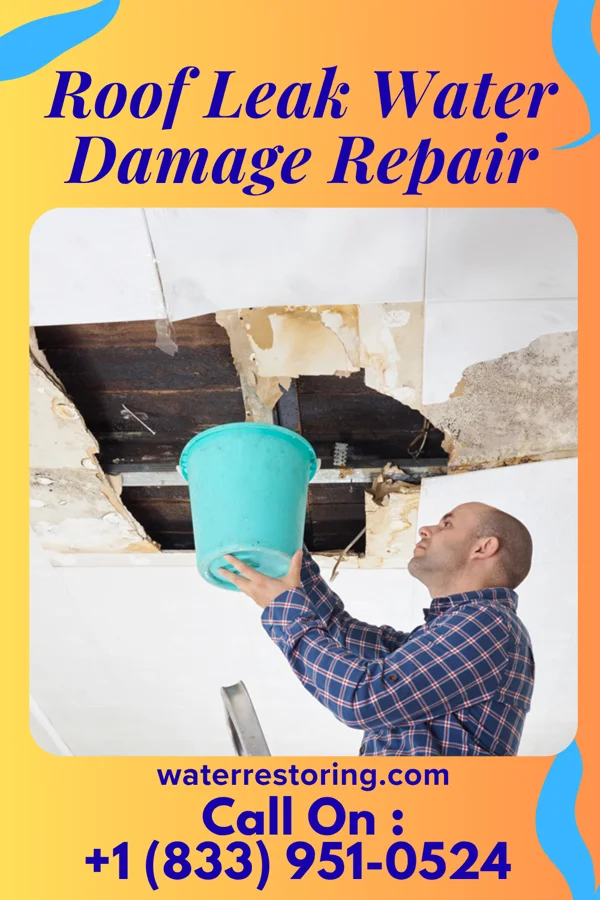 Roof Leak Water Damage Repair in Savoy, IL